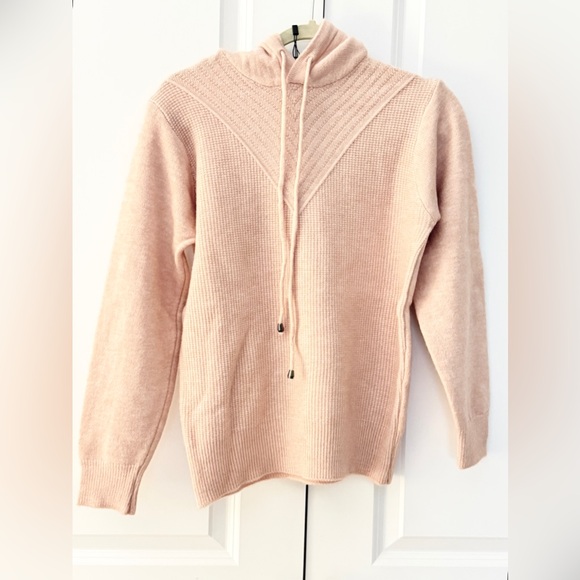 NWT Pink Cristina Cashmere Hoodie Sweater!  Thick soft cozy cashmere! L/XL - Picture 2 of 10